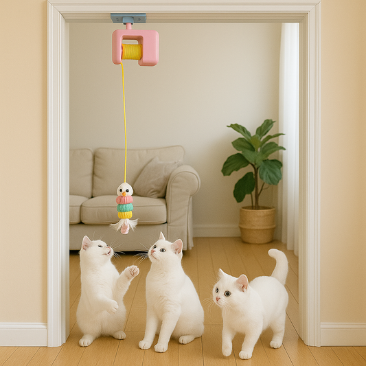 Giocattolo Elettrico per Gatti Interattivo, Automatico, Anti-Noia | Yo-yo Cat